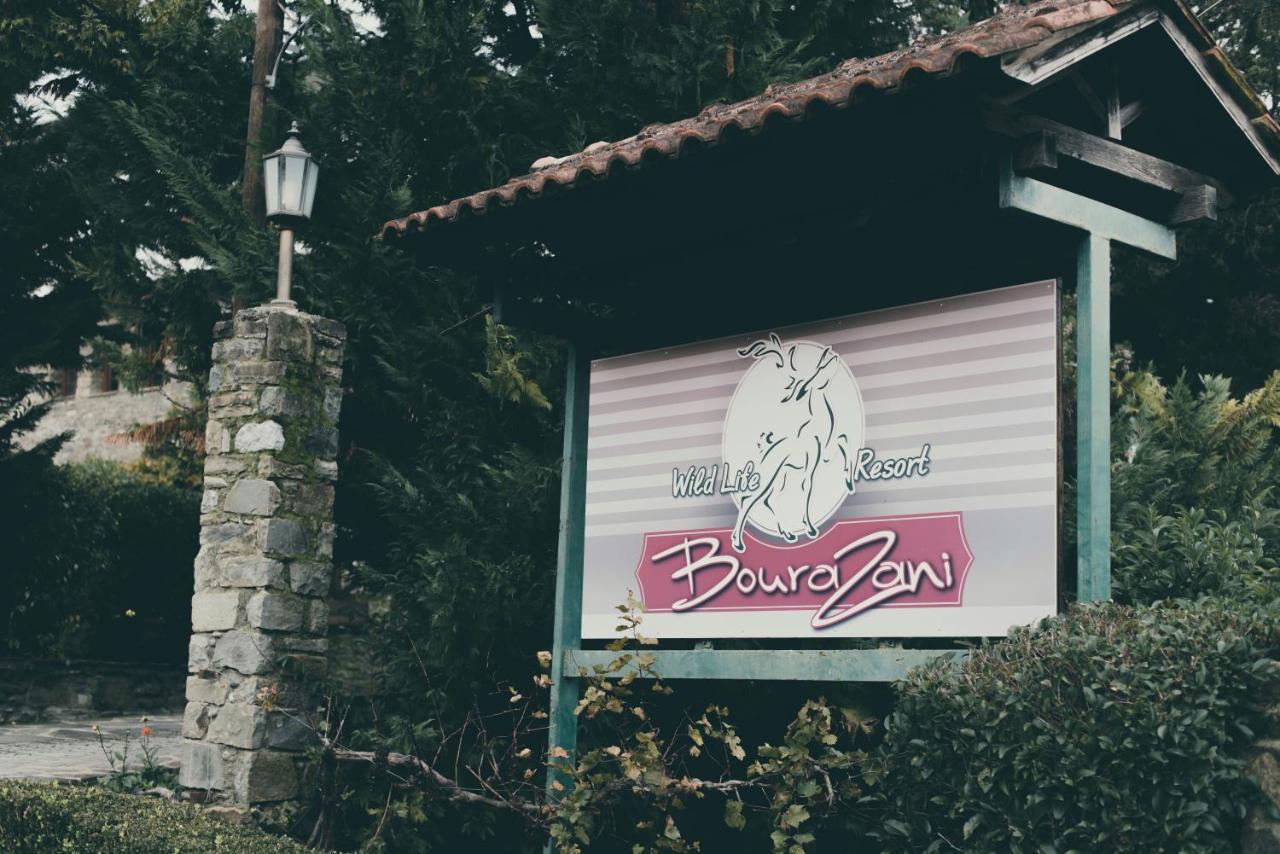 Bourazani Wild Life Resort Konitsa Exteriér fotografie