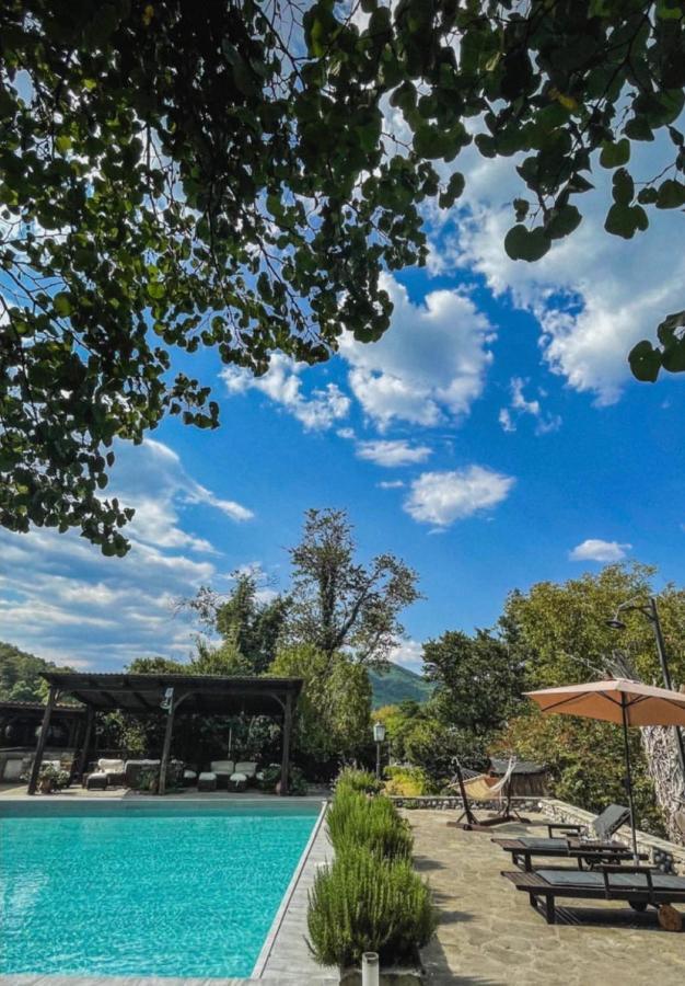 Bourazani Wild Life Resort Konitsa Exteriér fotografie